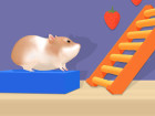 Hamster Maze